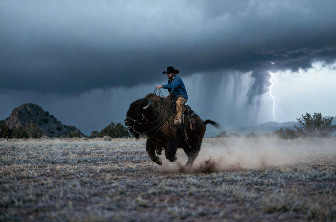 Onbekend telefoontje: wat te doen bij een oproep van +31 33 808 16 45?